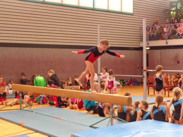 Gaukinderturnfest